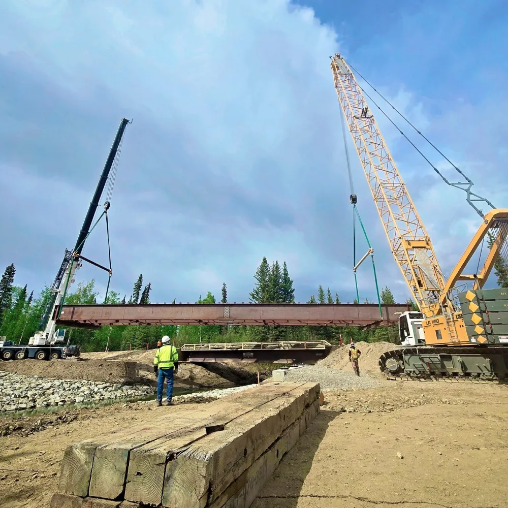 Alaska Crane